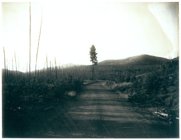 Aged - 96 - Original Polaroid